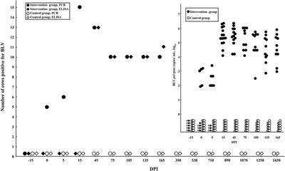 Dairy Cows Experimentally Infected With Bovine Leukemia Virus Showed an Increased Milk Production in Lactation Numbers 3–4: A 4-Year Longitudinal Study